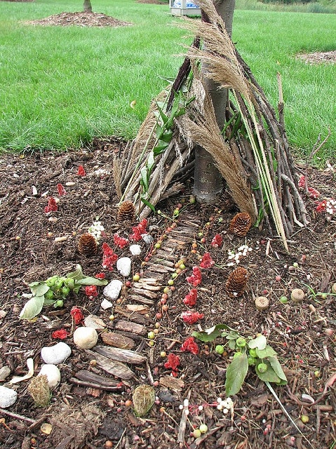 List of Things You Need to Make A Fairy House